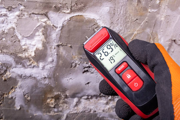 Best Mold Removal and Inspection  in East Lansdowne, PA