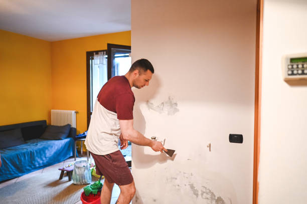 Best Fast Mold Removal  in East Lansdowne, PA