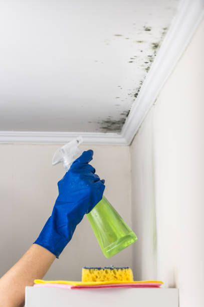 Best Crawl Space Mold Removal  in East Lansdowne, PA